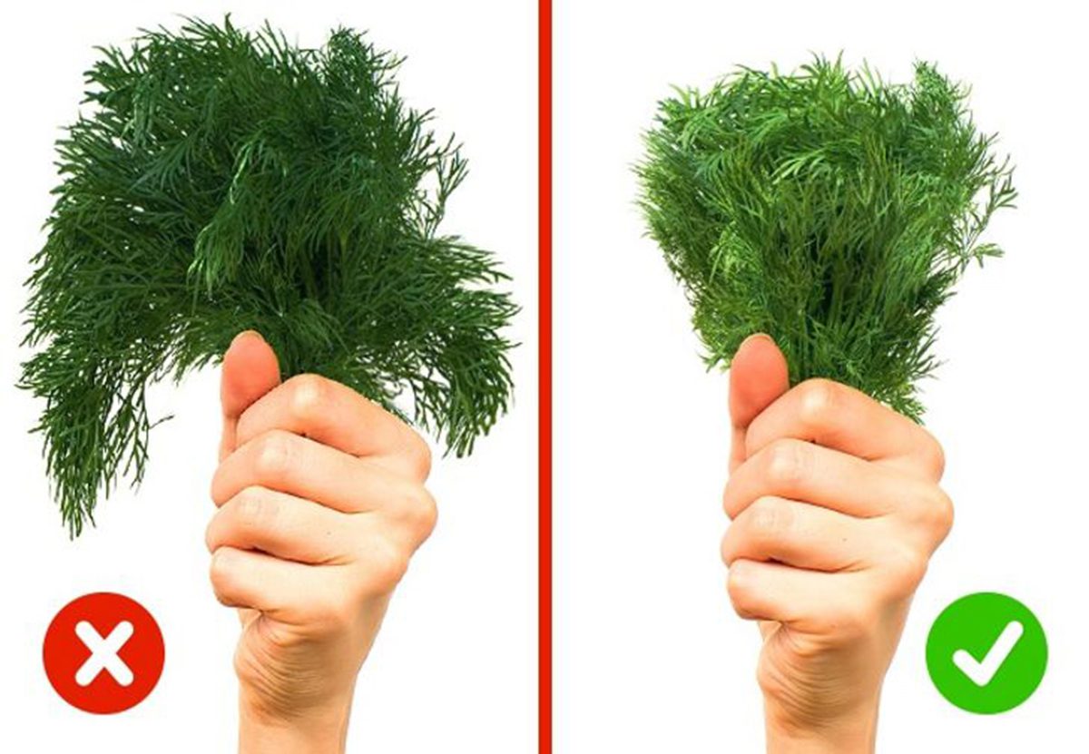 10 Bí Kíp Chọn Thực Phẩm Tươi Ngon, An Toàn Cho Sức Khỏe 10 Bí Kíp Chọn Thực Phẩm Tươi Ngon, An Toàn Cho Sức Khỏe